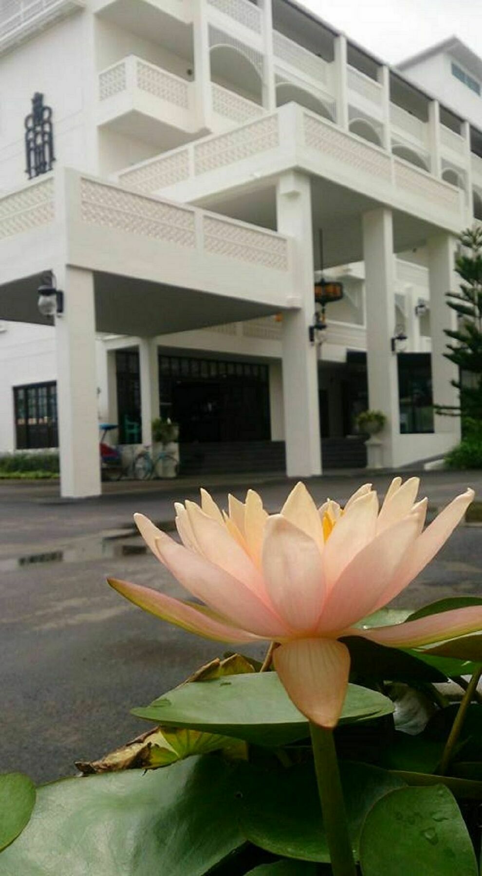 Koranaree Courtyard Boutique Hotel Nakhonratchasima Exterior foto